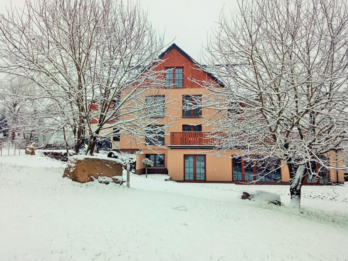 Apartmany Ricky Bagian luar foto